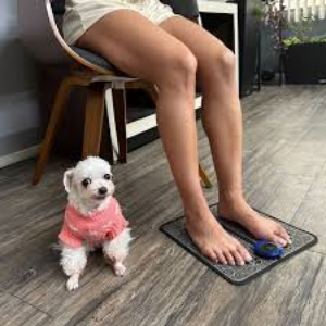 dog next to PodiPad Foot Massager